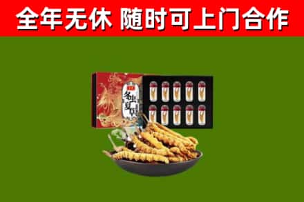 平城烟酒回收冬虫夏草礼盒.jpg